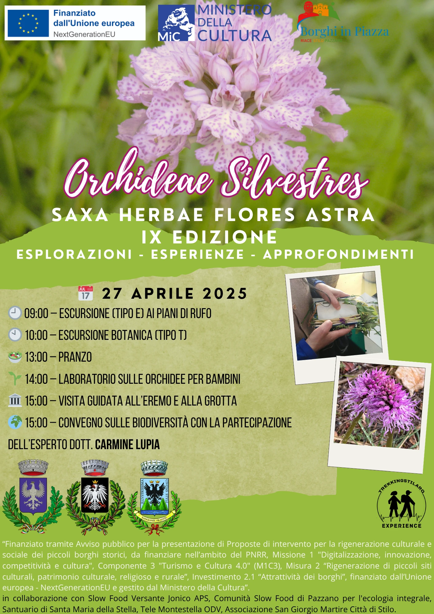 Locandina Orchideae Silvestres